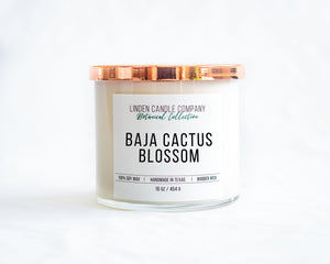 Baja Cactus Blossom